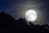Superksiężyc. Dzisiaj największa pełnia księżyca w 2020 r. Wspaniałe zjawisko astronomiczne przed nami. To uczta dla oczu