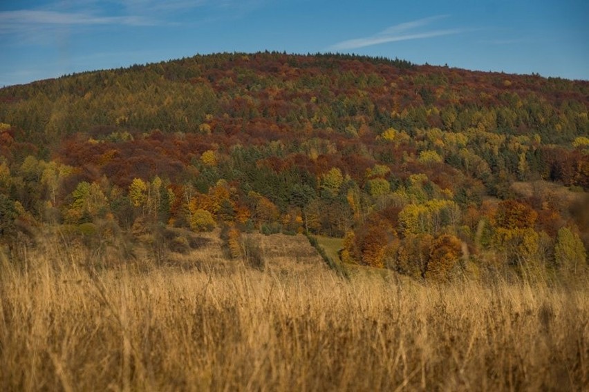 Gdziekolwiek się w gminie pójdzie, tam piękne widoki. Beskid...