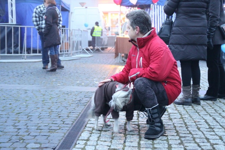 Wielka Orkiestra Świątecznej Pomocy gra także na czeladzkim...