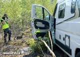 Busy za ponad 400 tys. złotych odzyskane przez krośnieńskich mundurowych. Jednego ze złodziei wytropił policyjny pies