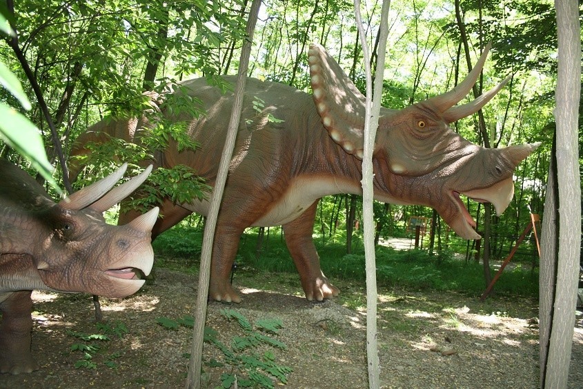 Zatorland w Zatorze pełen jest dinozaurów. Teraz można będzie zobaczyć je też nocą