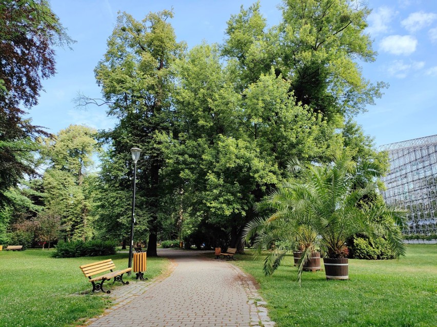 Park Chopina w centrum Gliwic to istny zielony raj na ziemi!...