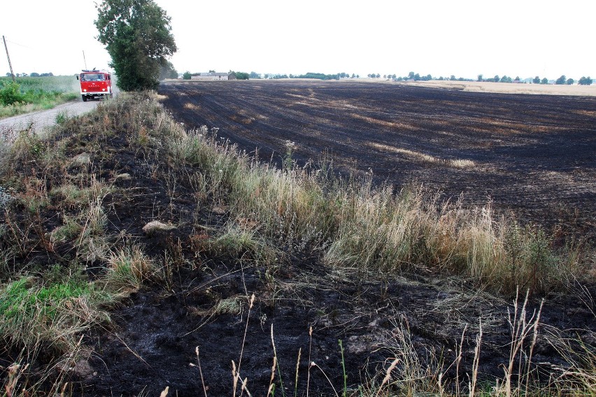 Ogień zaatakował w miejscowości Gawroniec (gmina Bukowiec).