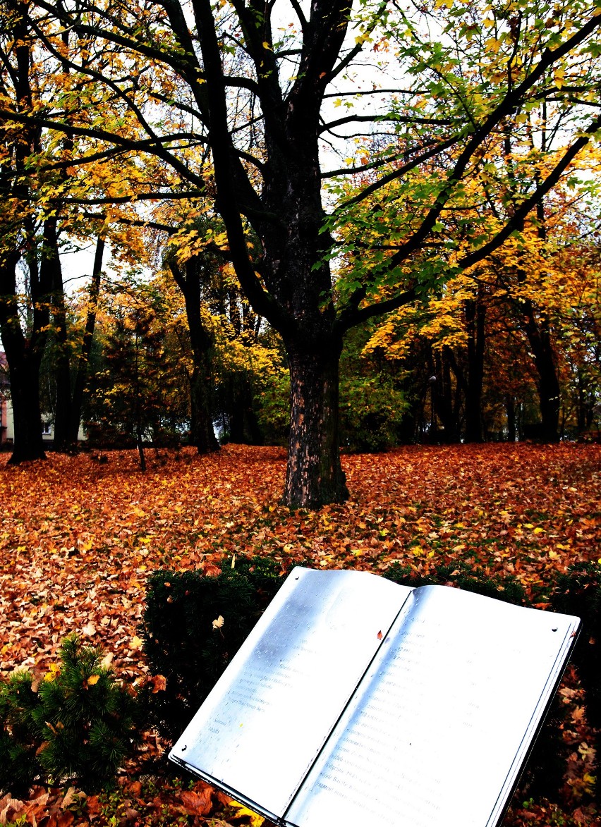 Nowy Sącz. Złota jesień w Parku Ireny Styczyńskiej