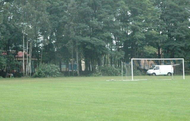 Więźniowie karczują samosiejki w przystadionowym parku