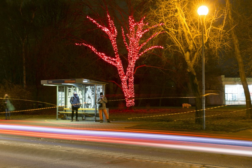 Nowe iluminacje świąteczne w Słupsku to pomysł władz miasta. Co o tym myślicie? (zdjęcia)