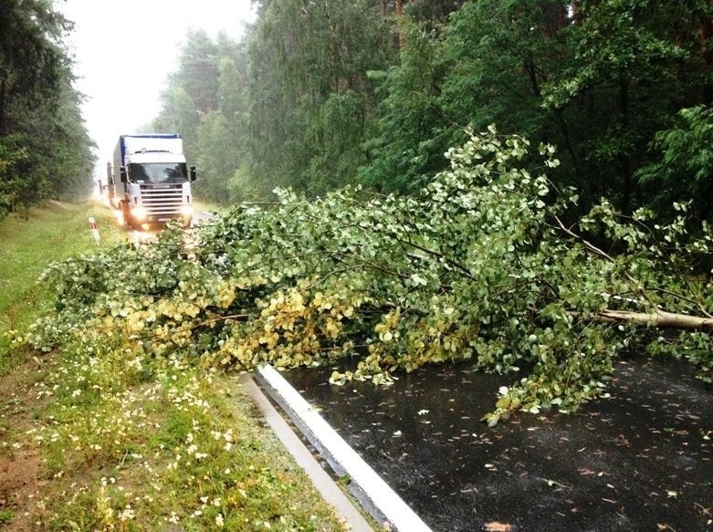 Pow. ostrowski: burza dokonała wielu zniszczeń [ZDJĘCIA]