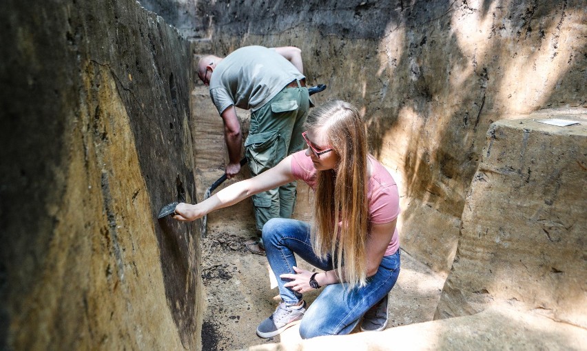 O tym, że archeolodzy na Lisiej Górze znaleźli ślady osady...