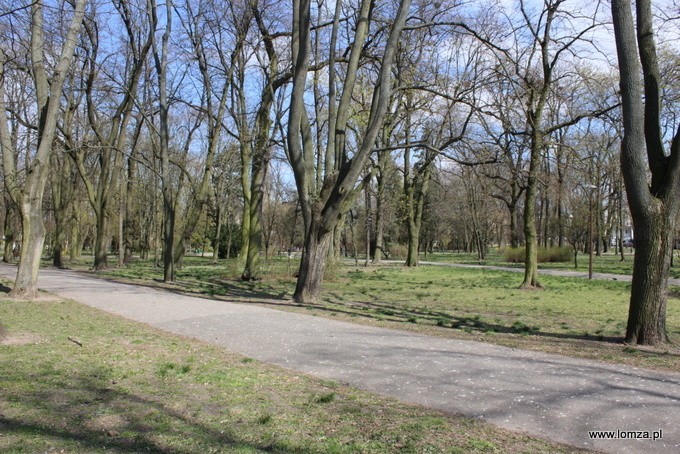 Park im. Jakuba Wagi przejdzie renowację. W pierwszej...