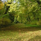 Weekend będzie ciepły i pogodny. Deszcz tylko wieczorami