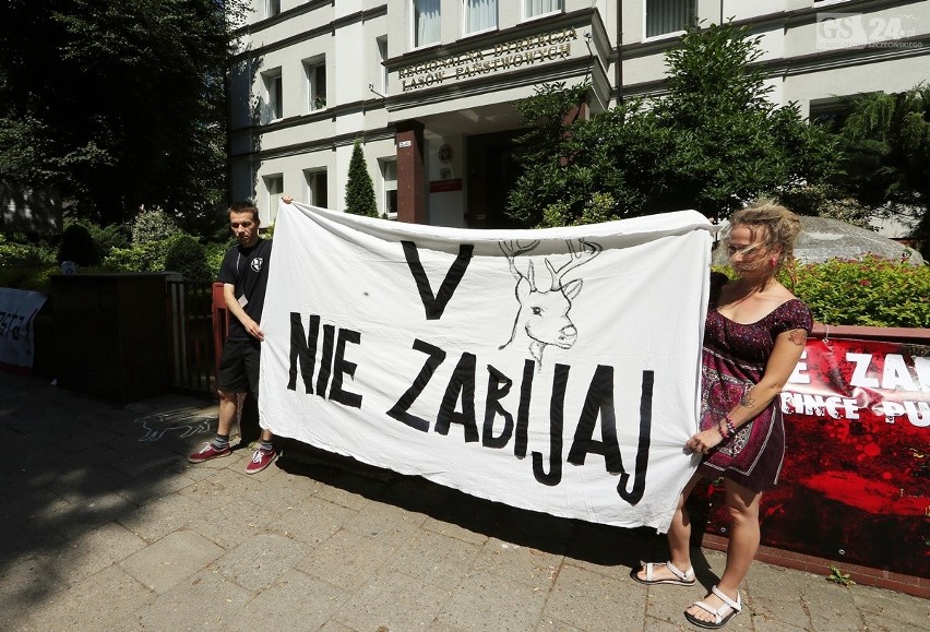 Szczecin: Protest przeciwko wycince lasów. "I <3 Puszcza" [zdjęcia, wideo]