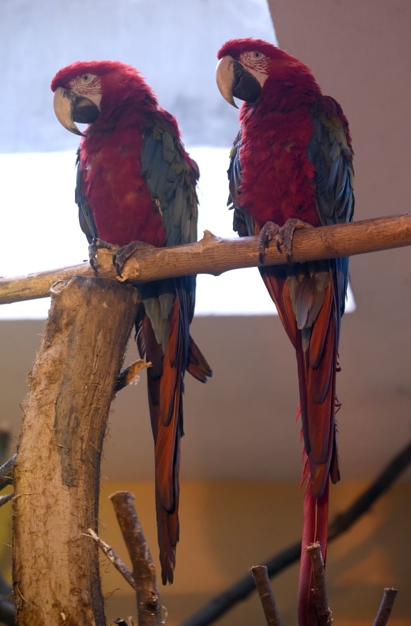 Łódzki ogród zoologiczny