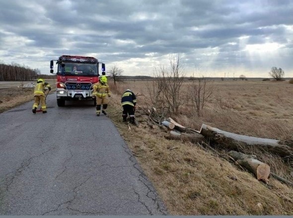 W powiecie szydłowieckim strażacy usuwają skutki wichur. Tu przy jednej z dróg w pobliżu Orońska.