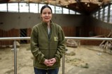 Poznań: "Zoo to nie zwierzyniec ku uciesze gawiedzi" - mówi dyrektor ogrodu zoologicznego