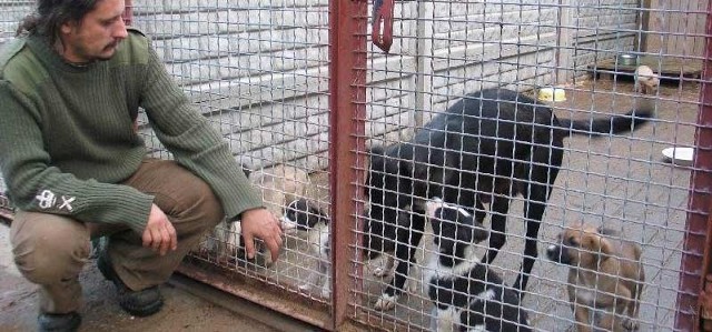 - W ciągu dwóch lat udało się wymienić prawie wszystkie boksy dla psów &#8211; mówi Artur Bąk, kier. schroniska dla bezdomnych zwierząt w Orzechowcach.