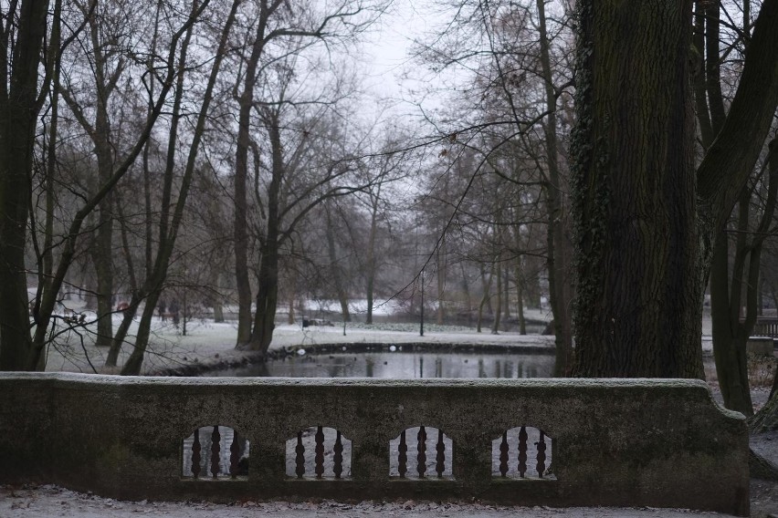 Dyskusja nad miejscowymi planami zagospodarowania...