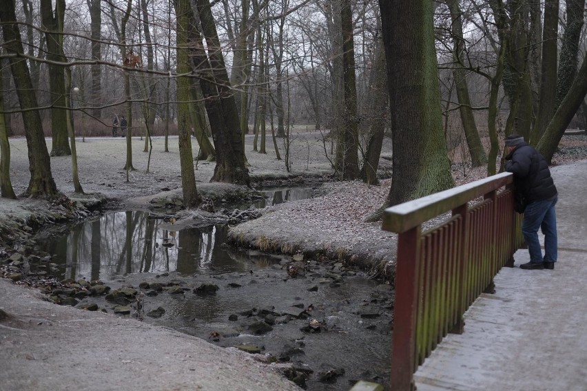 Dyskusja nad miejscowymi planami zagospodarowania...