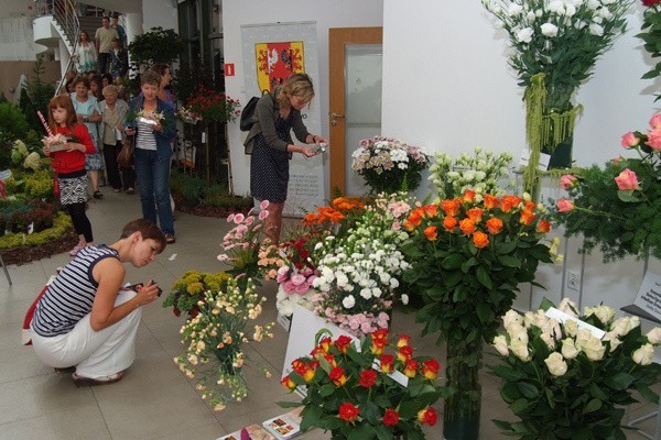 Weekendowa wystawa kwiatów. Róże, lilie, zioła, trawy... (aktual., galeria)