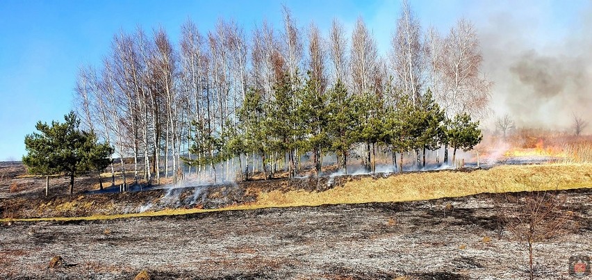 W środę w Wojkowicach miały miejsce dwa groźne pożary traw...