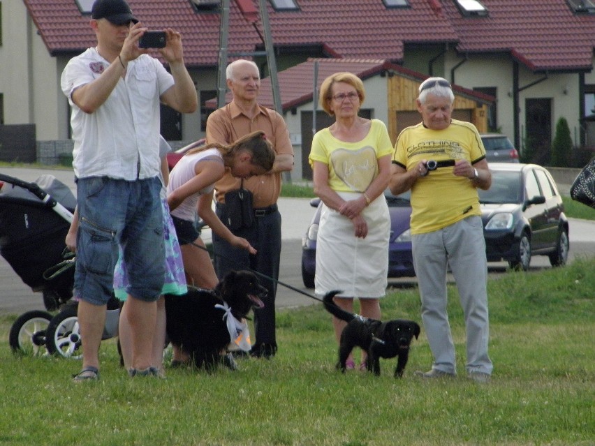 Piknik Pod Psem w Żorach w Cegielni