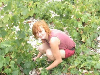 Wielu Polaków wybiera za granicą pracę w ogrodnictwie, np. przy winobraniu