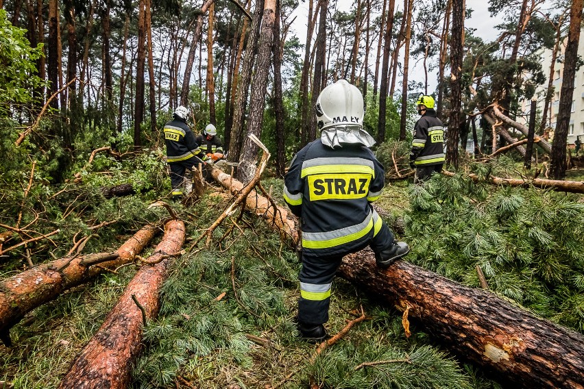 Pond 240 zgłoszeń od mieszkańców regionu mieli w czwartek...