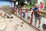Toruńskie zoo otwarte od poniedziałku! Jakie będą ograniczenia?