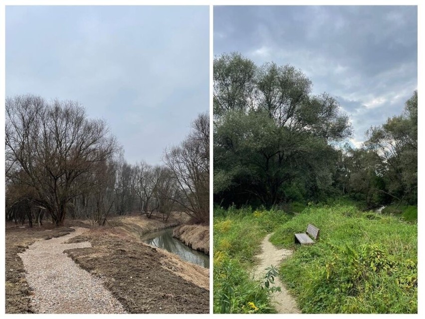 Kraków. Tworzą park rzeczny Wilga. Czy przyroda zostanie uszanowana?