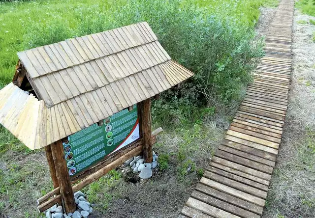 Ścieżki przyrodniczo - edukacyjna, która postała w Sanoku, jest położona w obszarze Europejskiej Sieci Ekologicznej Natura 2000 Góry Słonne. To atrakcja m.in. dla obserwatorów ptaków.