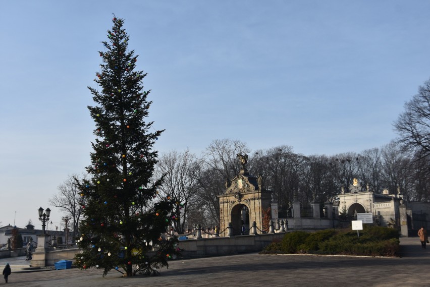 Na Jasnej Górze stanęła kilkunastometrowa choinka