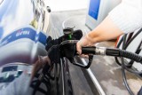 Ceny paliw. Nowa prognoza cen paliw. Ile faktycznie płacimy za litr benzyny i oleju napędowego 21 marca 2022 roku? 
