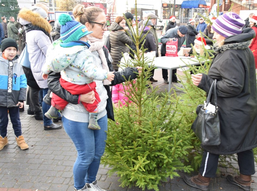 Choinka za makulaturę 2019. Akcja świąteczna Stora Enso i TO oraz partnerów, 20.12.2019. Zdjęcia, wideo