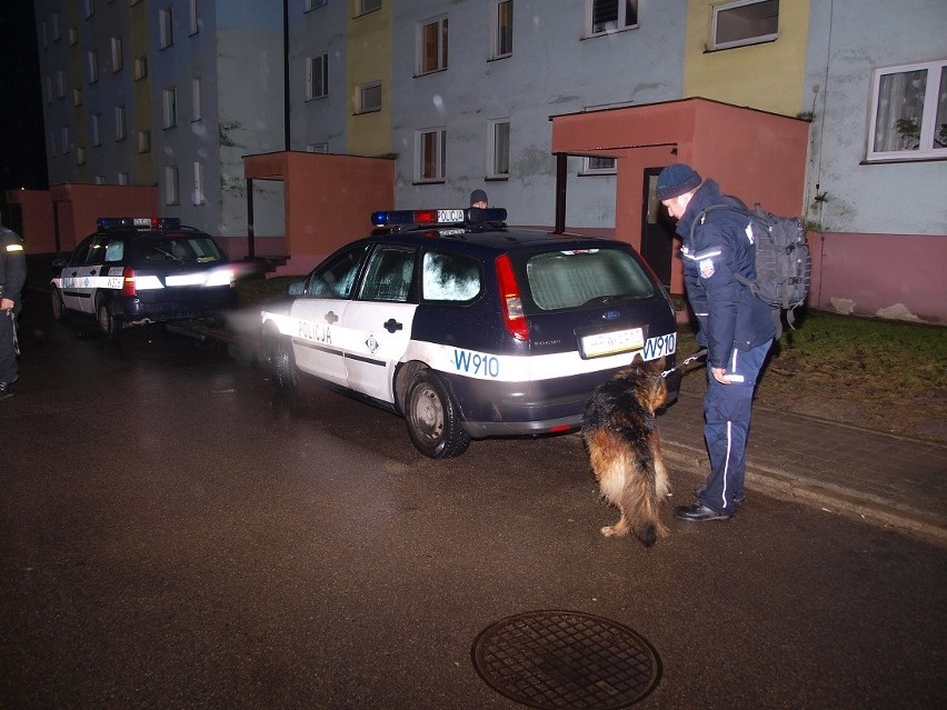 Policjanci z Białogardu poszukiwali napastników z pomocą psa...