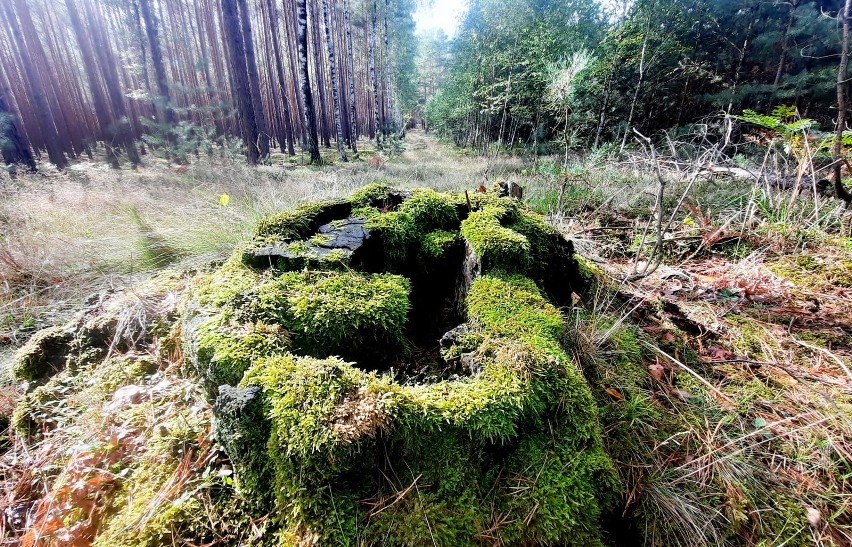 Nie tylko mieszkańców Dobrodzienia niepokoi skala...