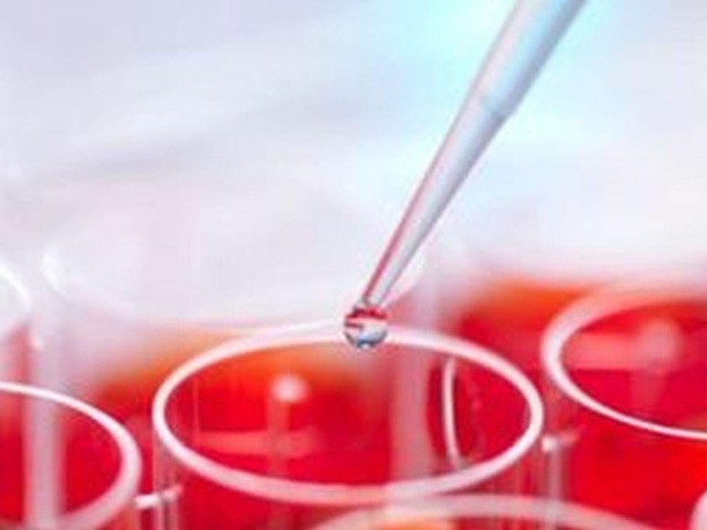 Zespół bydgoskich badaczy zdobył grant na realizację projektu z zakresu medycyny regeneracyjnej, stosowanej w urologii onkologicznej