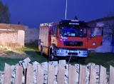 Pożar dwóch domów mieszkalnych w Mirowie Nowym w powiecie szydłowieckim. Gasiło go osiem zastępów straży pożarnej. Zobacz zdjęcia