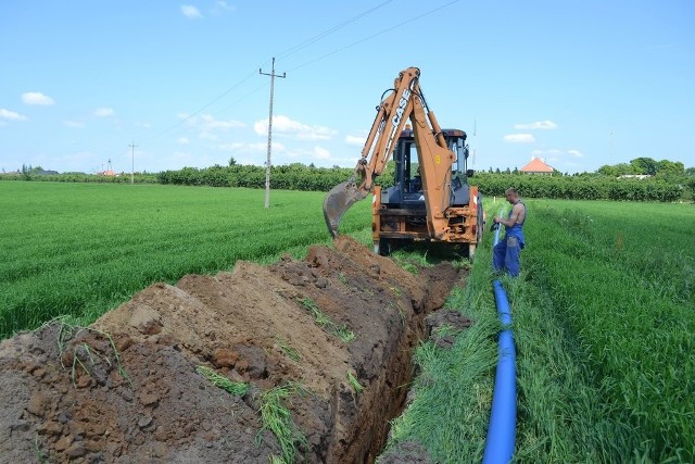 Wjechali w zagon jęczmienia jarego. Dalej rozpoczyna się sad. Wjadą koparką do sadu?