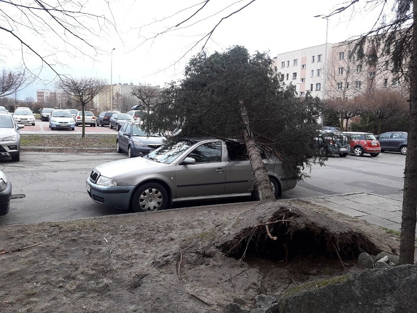 Chrzanów. 192 interwencje, 16 zerwanych dachów. Strażacy podsumowali skutki wichury [ZDJĘCIA]