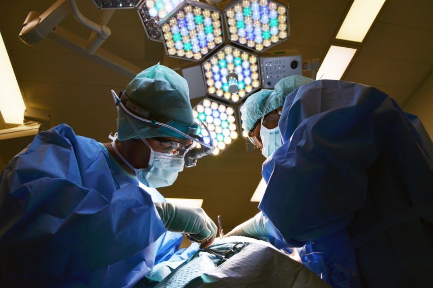 Z rekordowych 200 transplantacji serca, aż 81 odbyło się na...