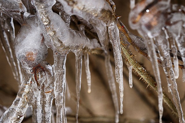 Prognozowana temperatura maksymalna w ciągu dnia 01.03. od -12°C do -10°C.