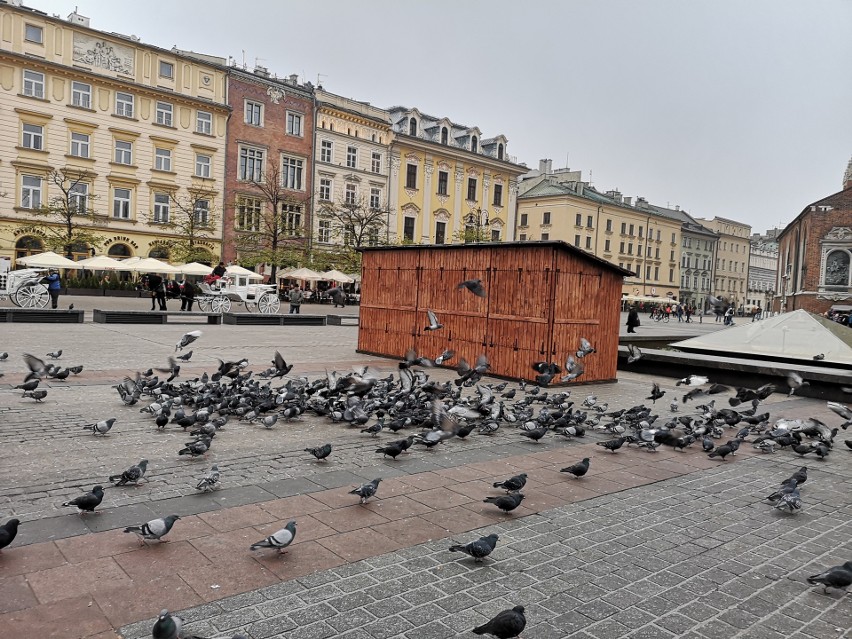 Wraca jarmark bożonarodzeniowy. Kupcy zaproszą do swoich stoisk 26 listopada