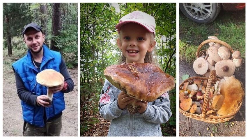 Na kolejnych zdjęciach okazy, które nasi Czytelnicy znaleźli...