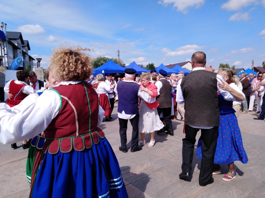 Pyszne potrawy w Miedzianej Górze. Można spróbować małosolnego chłodnika czy... biedazupy