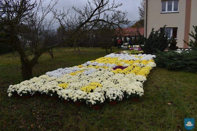 Kłobuck przyozdobiły kwiaty odkupione od przedsiębiorców.Zobacz kolejne zdjęcia. Przesuwaj zdjęcia w prawo - naciśnij strzałkę lub przycisk NASTĘPNE