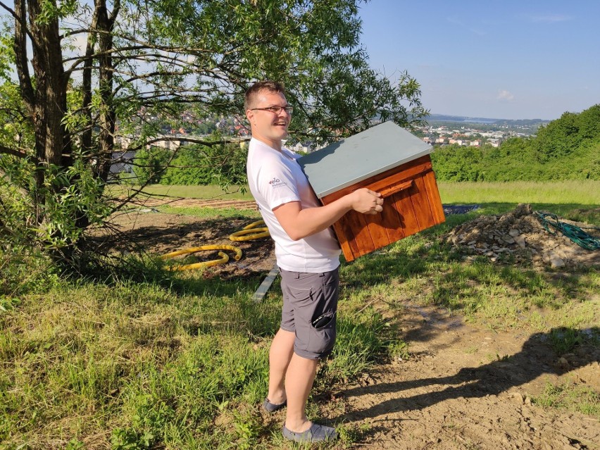 Myślenice. Grządki już obsadzone, łąka zasiana. Teraz czas na pszczoły