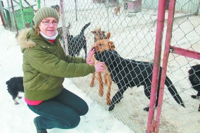 Bożena Jarząbek, kierownik schroniska &#8222;Arka&#8221; zapewnia że wszystkie psy mają stałą opiekę i ocieplone boksy. Zima nie ułatwia pielęgnacji zwierząt. Możesz wesprzeć przytulisko przynosząc  koce lub suchą karmę.