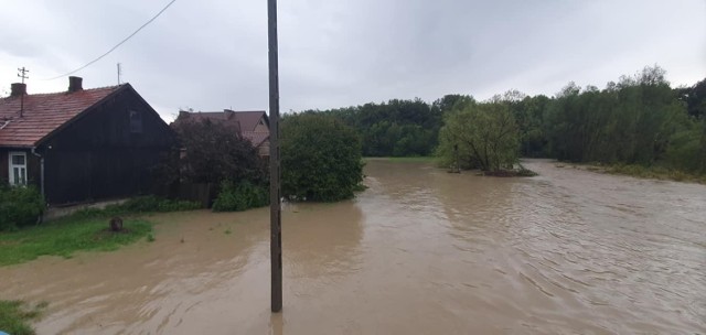 Straty po wcześniejszym oberwaniu chmury w Nowym Sączu oraz trąbie i gradzie wyceniono na ponad 50 mln złotych