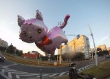 Hello Kitty Supermoto - czyli niebezpieczne popisy motocyklistów na wrocławskich ulicach (FILM)