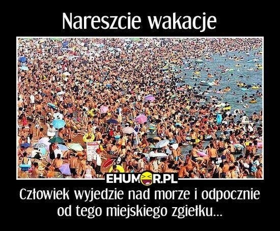 Memy o wakacjach nad polskim Morzem 2022.