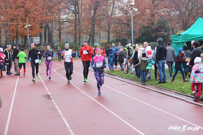 Bieg z Wąsem 2016, Wrocław